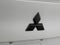 2026 Mitsubishi Outlander Ralliart