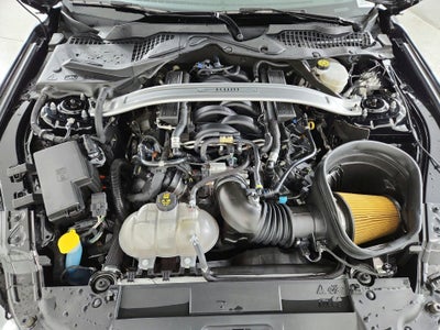 2019 Ford Mustang Bullitt