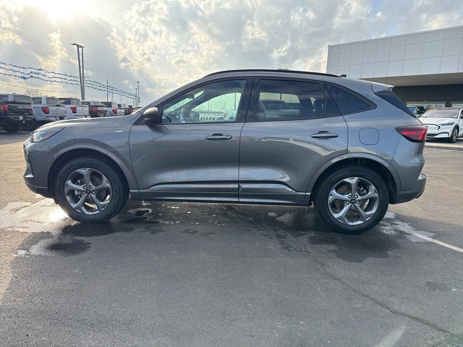 2024 Ford Escape ST-Line