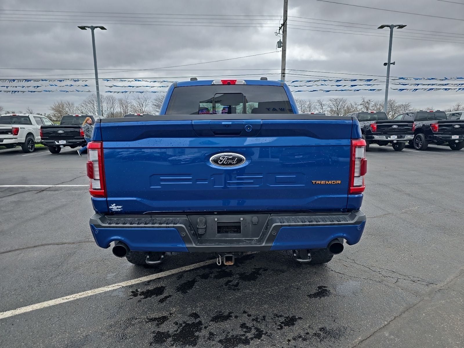 2022 Ford F-150 Tremor 4WD SuperCrew 5.5' Box