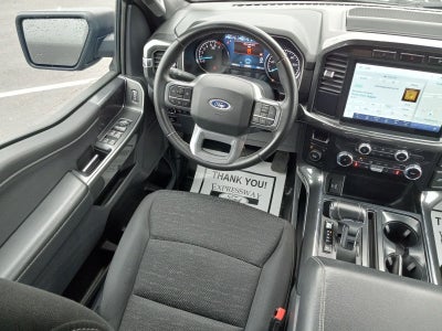 2023 Ford F-150 XLT 4WD SuperCrew 5.5' Box